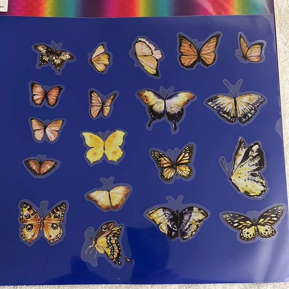 Butterfly